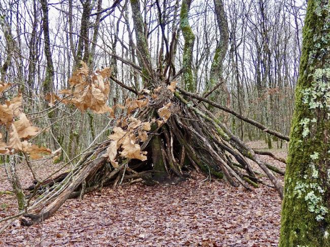 Foret de Buzet sur Tarn