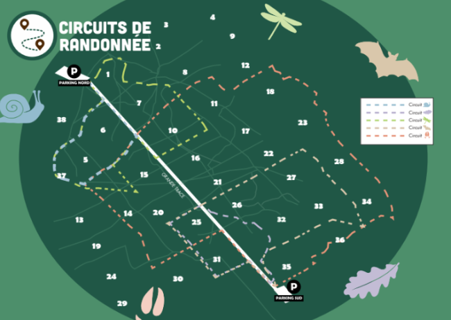 Circuits de randonnée d ela forêt de Buzet sur Tarn