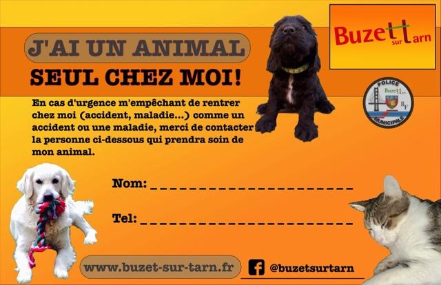 Carte j'ai un animal seul chez moi